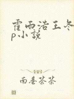 霍雨浩王冬儿cp小说