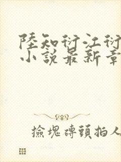 陆知衍江衍继兄小说最新章节