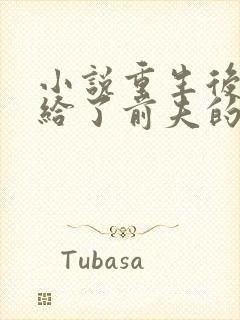 小说重生后我嫁给了前夫的死对头