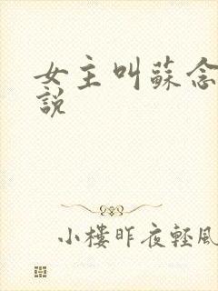 女主叫苏念的小说封面