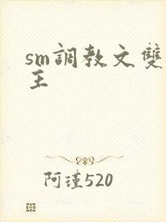 sm调教文双男主封面