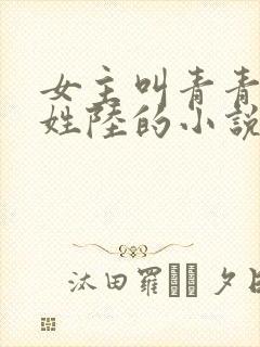 女主叫青青男主姓陆的小说