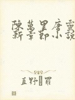 陈万里唐灵钰最新章节小说封面