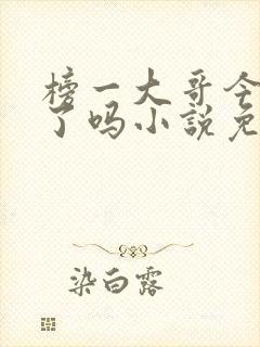 榜一大哥今天爱了吗小说免费阅读