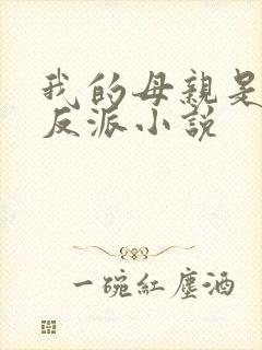 我的母亲是最大反派小说封面