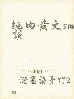 纯肉黄文sm小说封面
