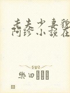 老夫少妻貌美的阿珍小说在线阅读