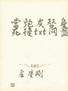 当炮灰替身的我死后txt网盘