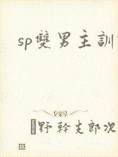 sp双男主训诫