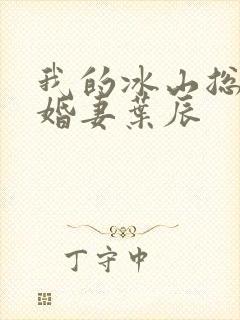 我的冰山总裁未婚妻叶辰