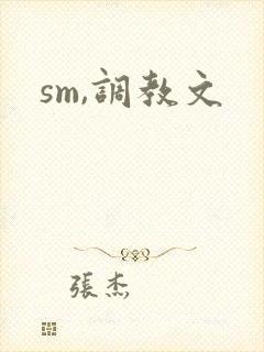 sm,调教文