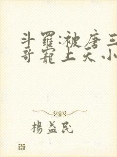 斗罗:被唐三哥哥宠上天小说读