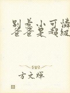 别惹小可怜,她爸爸是超级女儿奴