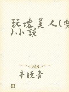 玩坏美人(双性)小说