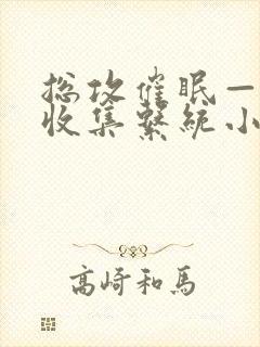 总攻催眠—情欲收集系统小说免费阅