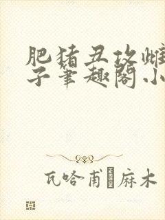 肥猪丑攻雌堕生子笔趣阁小说