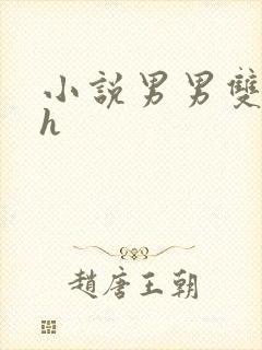 小说男男双性高h