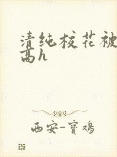 清纯校花被调教高h