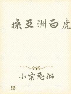 操亚洲白虎逼