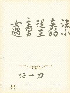 女主从来没有爱过男主的小说