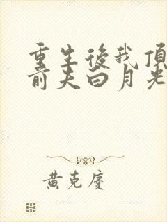 重生后我顶替了前夫白月光封面