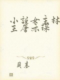 小说女主林舒男主唐亦琛