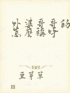 外婆哥哥的儿子怎么称呼