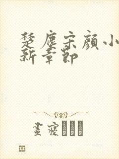 楚尘宋颜小说最新章节封面