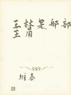 王林是哪部小说主角