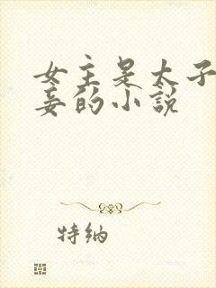 女主是太子的侍妾的小说