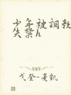 少年被调教爽到失禁h