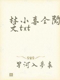 林小喜全阅读全文txt