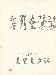 斗罗大陆2绝世唐门王冬和霍雨浩