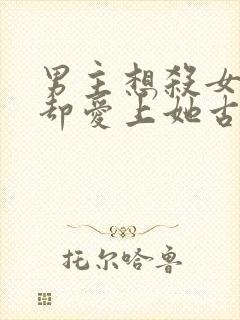 男主想杀女主但却爱上她古言