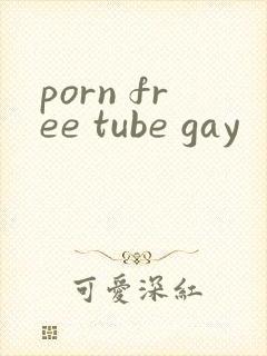 porn free tube gay