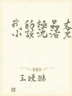 我的极品丈母娘小说沈浩免费阅读