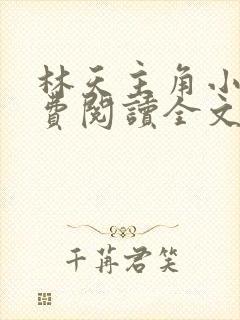 林天主角小说免费阅读全文封面
