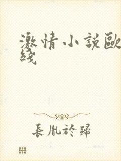 激情小说欧美在线