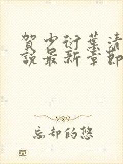 贺少衍叶清栀小说最新章节免费阅读封面