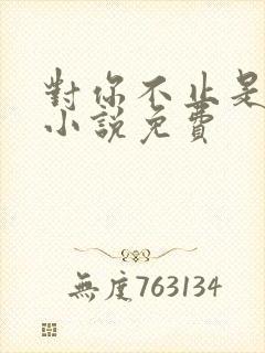 对你不止是喜欢小说免费