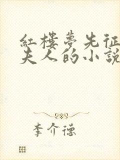 红楼梦先征服王夫人的小说