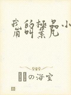 我的极品小姨主角叫叶凡