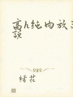 高h纯肉放荡小说