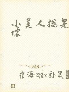小美人总是被玩坏封面