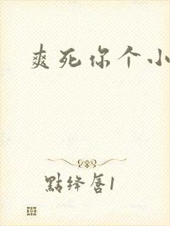 爽死你个小骚货封面