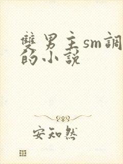 双男主sm调教的小说