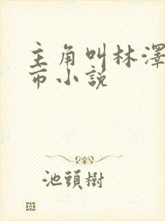 主角叫林泽的都市小说封面