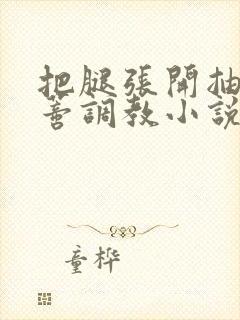 把腿张开抽打花蒂调教小说