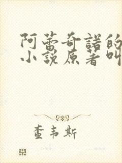 阿蕾奇诺的堕落小说原著叫什么封面