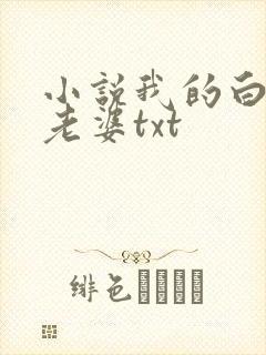 小说我的白富美老婆txt